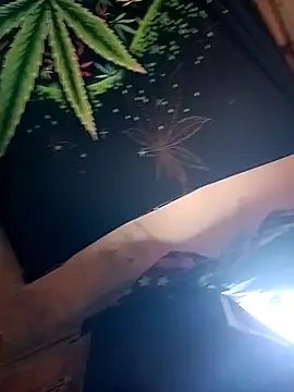 ySqmbVanbe online show from February 9, 4:49 pm