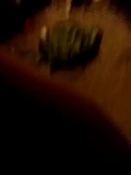 ySqmbVanbe online show from February 16, 1:37 am