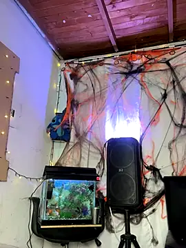 Snapshot of sweet_kamil chatting on October 31, 3:03 am sweet kamil online show from October 31, 3:03 am