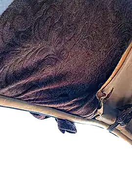 FloppyPickle4u online show from January 19, 4:11 pm