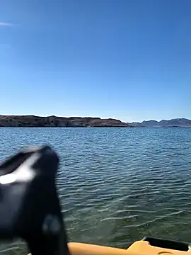 FloppyPickle4u online show from March 8, 3:59 pm