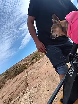 FloppyPickle4u online show from February 12, 5:56 pm