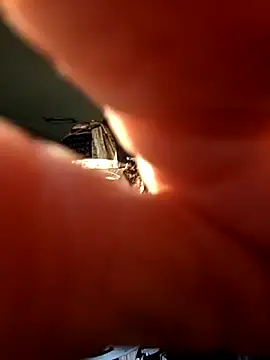 Talenjames4 online show from April 7, 10:44 pm