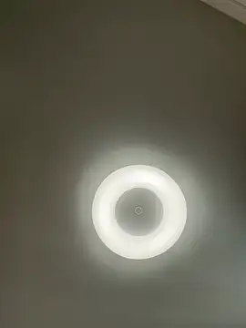 Snapshot of Lady_MiaOlson chatting on January 6, 4:36 am Lady MiaOlson online show from January 6, 4:36 am