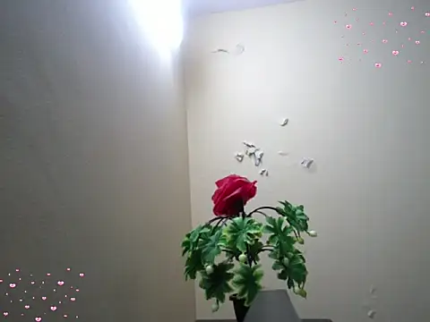 Arushisingh8888 online show from December 18, 11:36 am