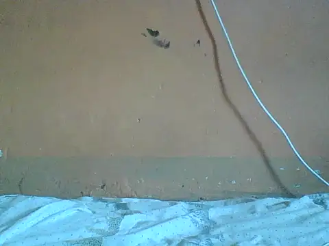 Naivegirrl online show from February 1, 10:13 am