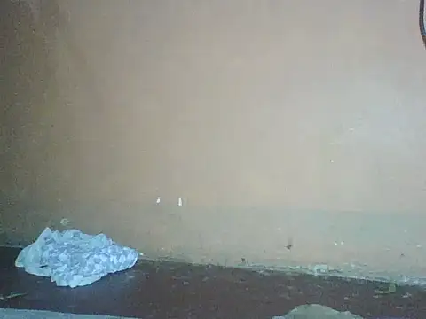 Naivegirrl online show from December 2, 10:33 pm