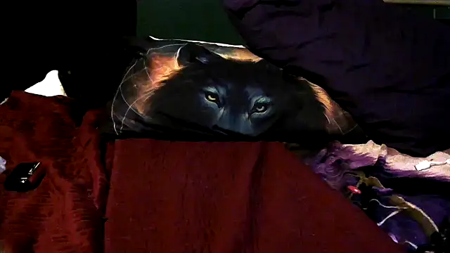 wolfgirl97 online show from December 4, 12:26 pm