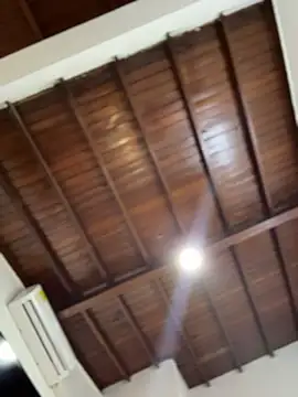 emiss  online show from January 17, 4:32 pm