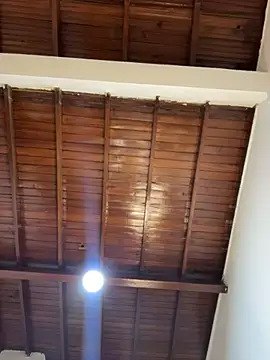 emiss  online show from February 8, 4:05 pm