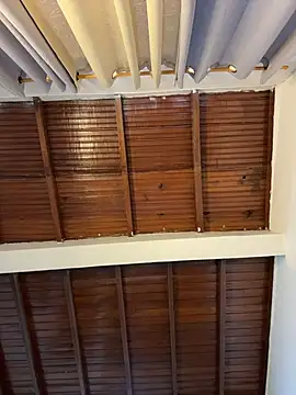 emiss  online show from April 16, 4:08 pm