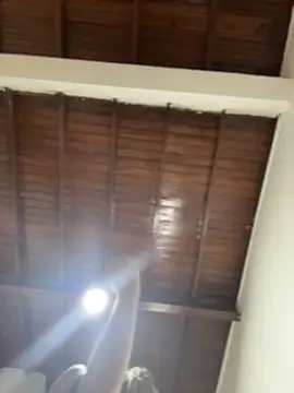 emiss  online show from December 16, 4:22 pm