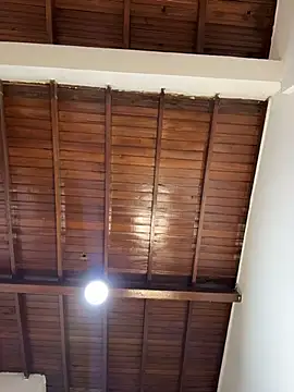 emiss  online show from February 4, 3:18 pm