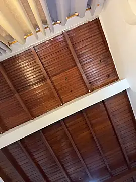 emiss  online show from April 9, 7:31 pm