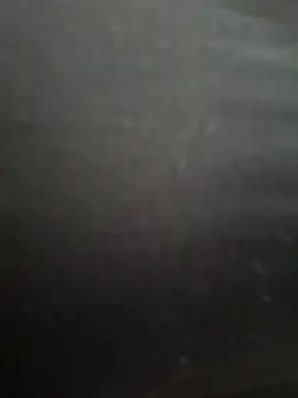 PaulinaDuarte online show from December 19, 1:46 pm