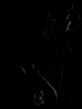 Snapshot of mumuowl chatting on September 20, 5:29 pm mumuowl online show from September 20, 5:29 pm