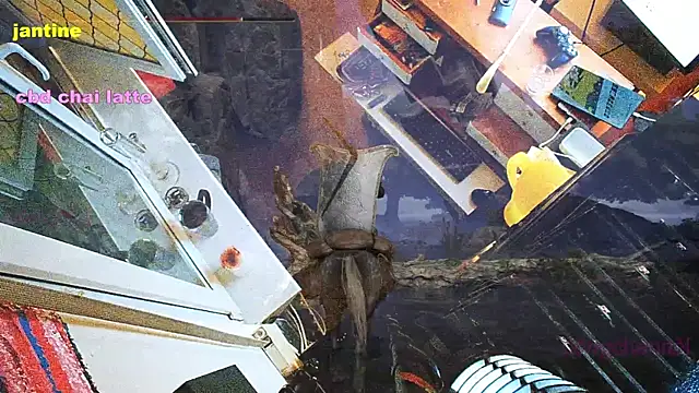 Snapshot of BongChannel chatting on March 9, 3:54 am BongChannel online show from March 9, 3:54 am