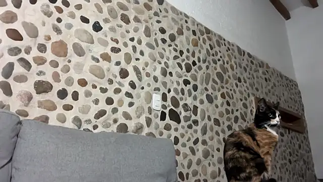 Snapshot of David_Brown18 chatting on October 1, 3:44 am David Brown18 online show from October 1, 3:44 am