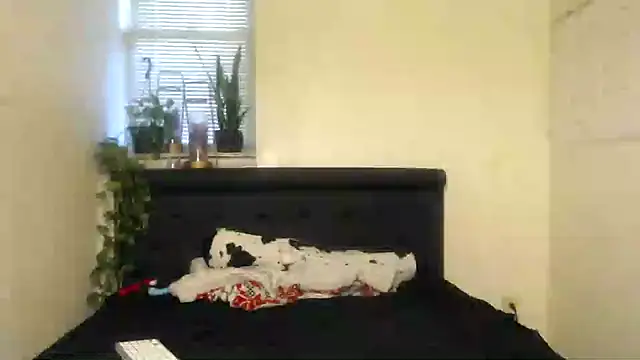 vixenpaisley2 online show from December 7, 2:58 am