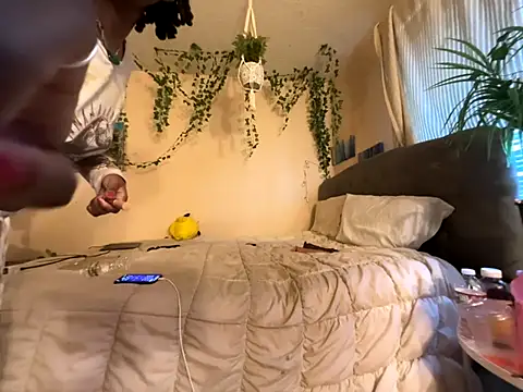 magicalc00ch online show from November 11, 1:50 pm