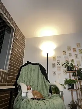 6nalanie online show from December 14, 12:44 am