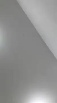 Snapshot of fernandasweet chatting on March 18, 2:29 am fernandasweet online show from March 18, 2:29 am