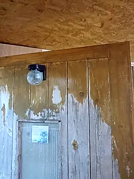 daiwantu online show from December 18, 3:49 pm