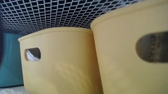 lovense test04 online show from February 27, 7:30 am