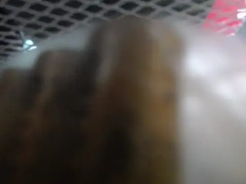 lovense test04 online show from January 7, 2:05 am