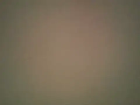 lovense test04 online show from October 22, 2:33 am