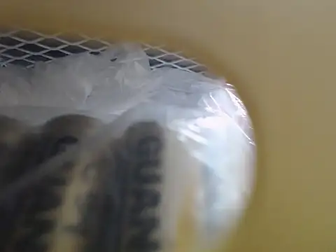 lovense test04 online show from October 16, 3:48 am