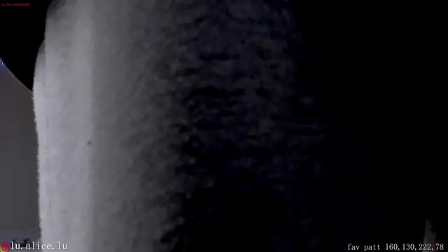 Snapshot of alicelu_ chatting on February 8, 11:55 am alicelu online show from February 8, 11:55 am