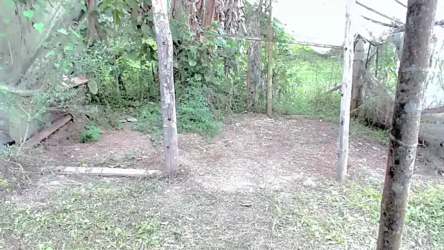 Snapshot of tayiro_r chatting on October 24, 5:12 pm tayiro r online show from October 24, 5:12 pm