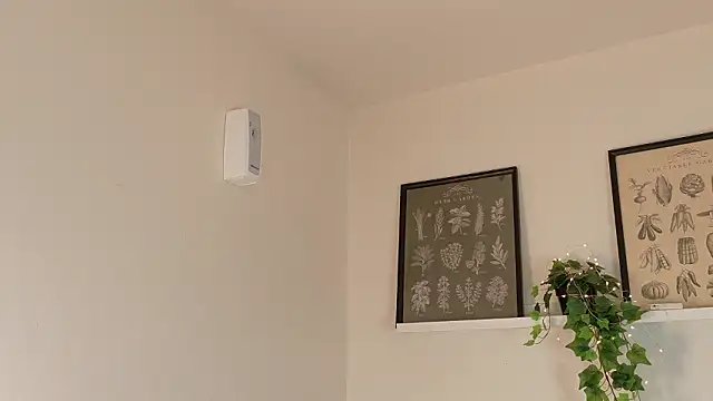 memphiswilliam online show from February 17, 4:21 am