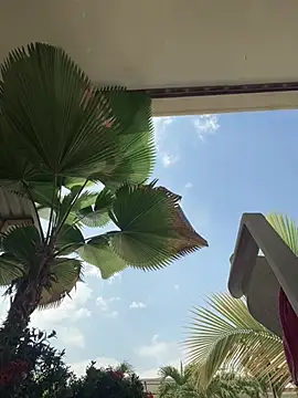 Snapshot of Ema_azel chatting on March 9, 2:21 pm Ema azel online show from March 9, 2:21 pm