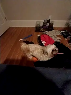 420getsmehorny online show from December 16, 2:04 am