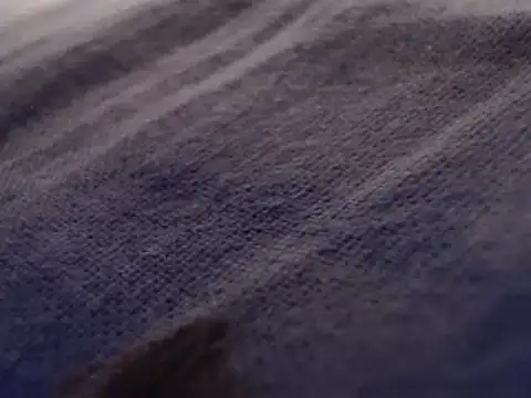 Snapshot of FleshlightFan chatting on January 26, 12:47 am FleshlightFan online show from January 26, 12:47 am