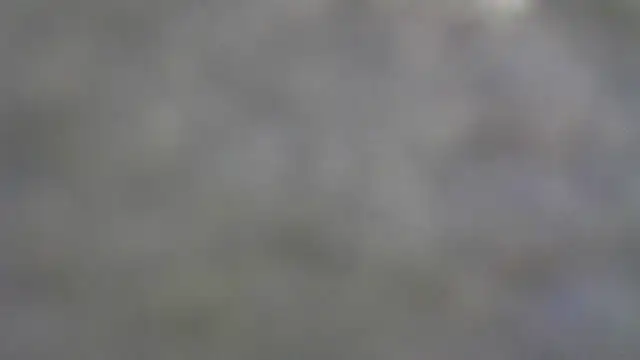 Buddy Cuck online show from January 7, 8:03 pm