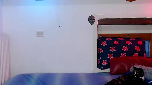 cek 186 online show from December 22, 1:44 pm