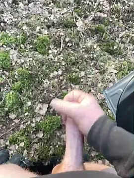 pietpietersen online show from March 6, 3:29 pm