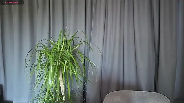 Sheandhim23 online show from May 28, 11:05 am