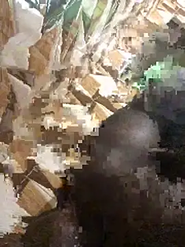 Snapshot of BigBrotherFreak chatting on November 27, 3:45 pm BigBrotherFreak online show from November 27, 3:45 pm