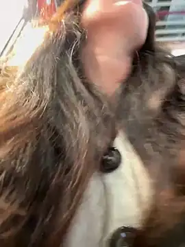 eveangelll online show from December 5, 9:52 am