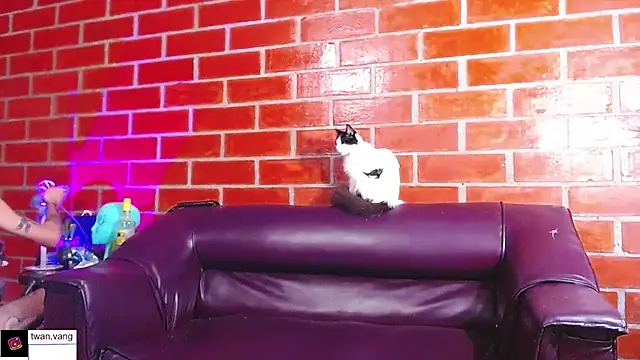 Trix fiore oficial online show from March 22, 10:44 pm