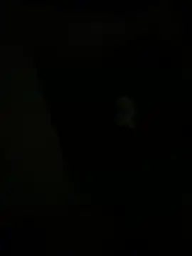 claudiomoreno13 online show from April 3, 2:51 am