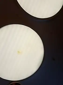 CanelitaPasion online show from February 11, 8:09 pm