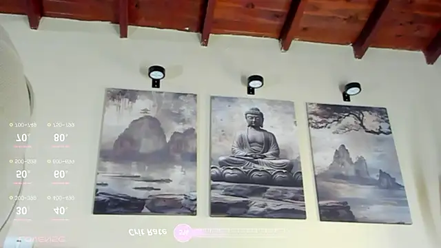 MikeRoss7777 online show from February 8, 9:51 am