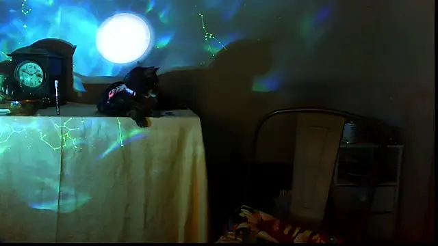 SexWorkerX online show from December 17, 10:04 pm