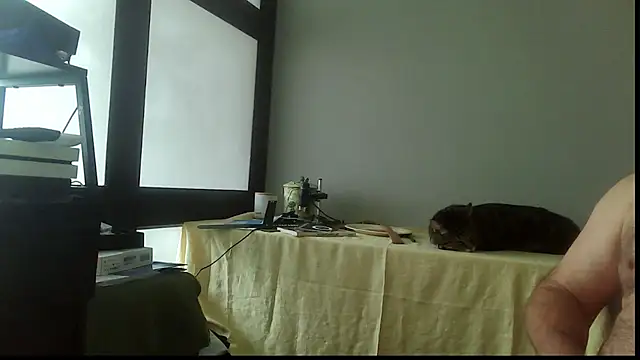 SexWorkerX online show from November 15, 4:22 pm