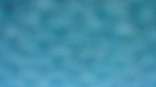 BarbaraTurners online show from October 8, 6:19 pm